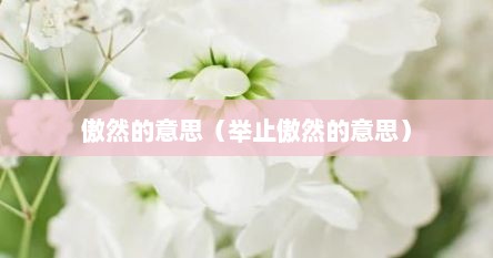 傲然的意思（举止傲然的意思）