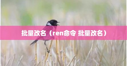 批量改名（ren命令 批量改名）