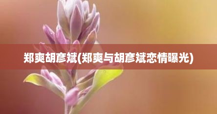 郑爽胡彦斌(郑爽与胡彦斌恋情曝光)