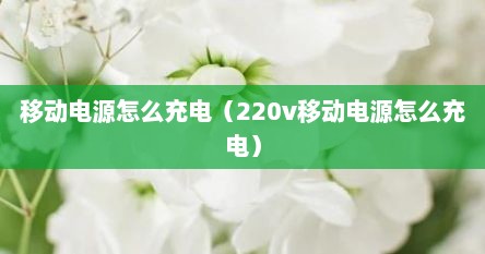 移动电源怎么充电（220v移动电源怎么充电）