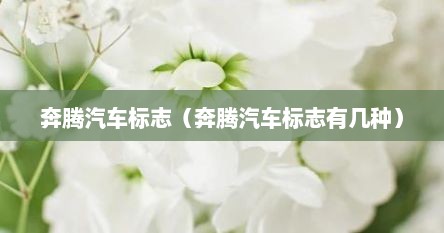 奔腾汽车标志（奔腾汽车标志有几种）