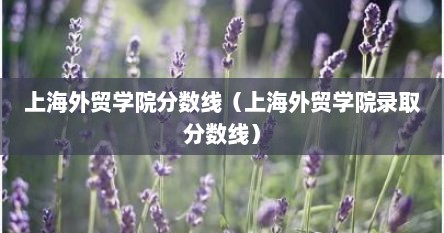 上海外贸学院分数线（上海外贸学院录取分数线）