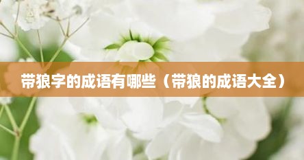 带狼字的成语有哪些（带狼的成语大全）