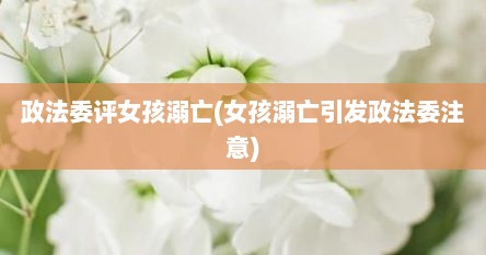 政法委评女孩溺亡(女孩溺亡引发政法委注意)