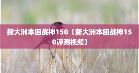 新大洲本田战神150（新大洲本田战神150评测视频）