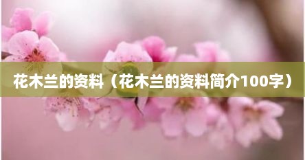 花木兰的资料（花木兰的资料简介100字）