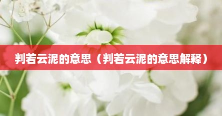 判若云泥的意思（判若云泥的意思解释）