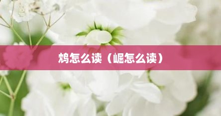 鸩怎么读（崛怎么读）