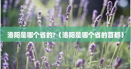 洛阳是哪个省的?（洛阳是哪个省的首都）