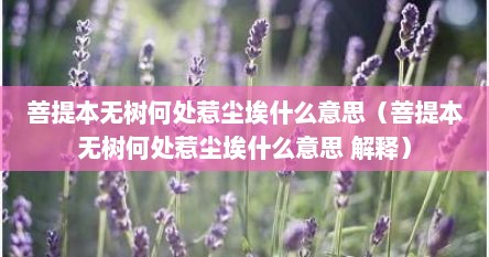 菩提本无树何处惹尘埃什么意思（菩提本无树何处惹尘埃什么意思 解释）