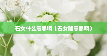 石女什么意思啊（石女啥意思啊）