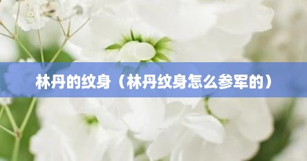 林丹的纹身（林丹纹身怎么参军的）