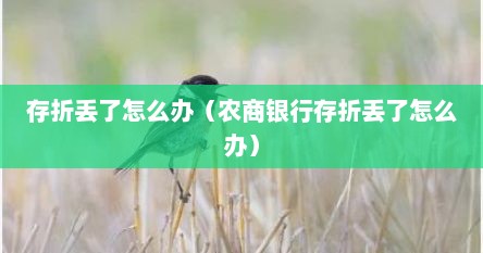 存折丢了怎么办（农商银行存折丢了怎么办）