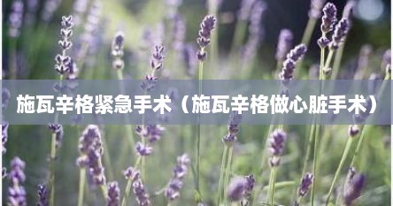 施瓦辛格紧急手术（施瓦辛格做心脏手术）