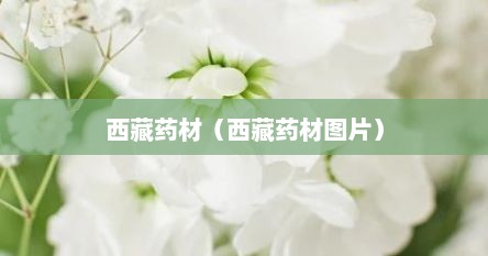 西藏药材（西藏药材图片）