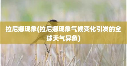 拉尼娜现象(拉尼娜现象气候变化引发的全球天气异象)