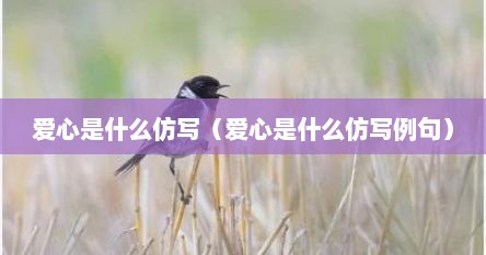 爱心是什么仿写（爱心是什么仿写例句）