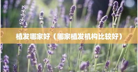 植发哪家好（哪家植发机构比较好）