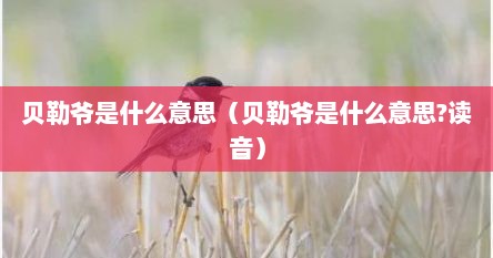 贝勒爷是什么意思（贝勒爷是什么意思?读音）