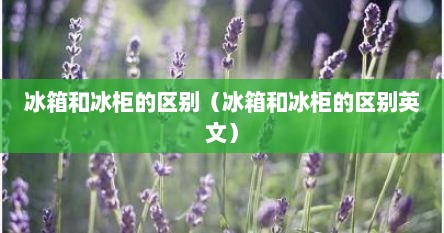 冰箱和冰柜的区别（冰箱和冰柜的区别英文）