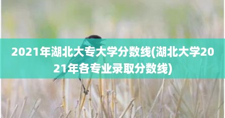 2021年湖北大专大学分数线(湖北大学2021年各专业录取分数线)