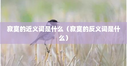 寂寞的近义词是什么（寂寞的反义词是什么）