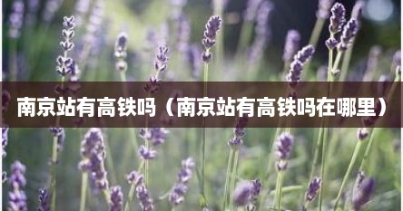 南京站有高铁吗（南京站有高铁吗在哪里）