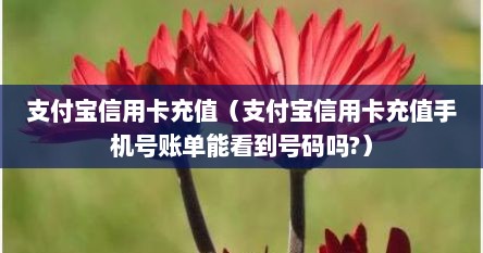 支付宝信用卡充值（支付宝信用卡充值手机号账单能看到号码吗?）