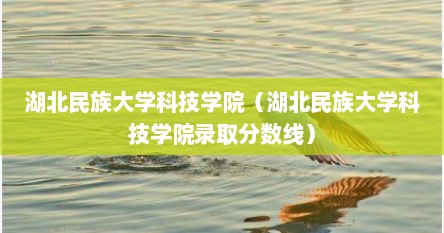 湖北民族大学科技学院（湖北民族大学科技学院录取分数线）