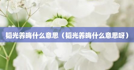 韬光养晦什么意思（韬光养晦什么意思呀）