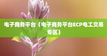 电子商务平台（电子商务平台ECP电工交易专区）