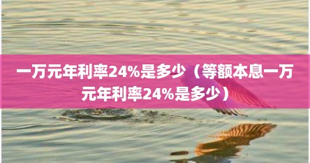 一万元年利率24%是多少（等额本息一万元年利率24%是多少）