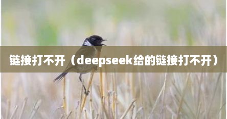 链接打不开（deepseek给的链接打不开）