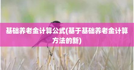 基础养老金计算公式(基于基础养老金计算方法的新)