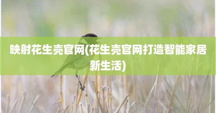 映射花生壳官网(花生壳官网打造智能家居新生活)