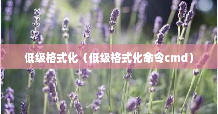 低级格式化（低级格式化命令cmd）