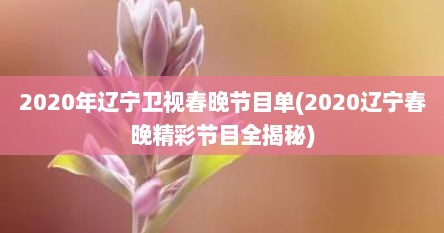 2020年辽宁卫视春晚节目单(2020辽宁春晚精彩节目全揭秘)