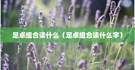 足卓组合读什么（足卓组合读什么字）