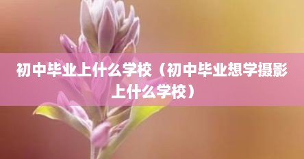 初中毕业上什么学校（初中毕业想学摄影上什么学校）