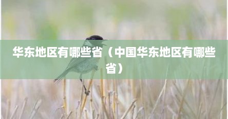 华东地区有哪些省（中国华东地区有哪些省）