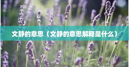 文静的意思（文静的意思解释是什么）