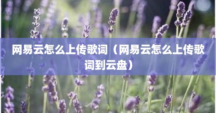 网易云怎么上传歌词（网易云怎么上传歌词到云盘）