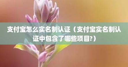 支付宝怎么实名制认证（支付宝实名制认证中包含了哪些项目?）