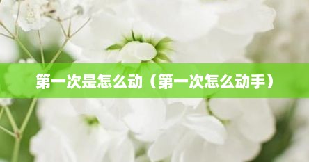 第一次是怎么动（第一次怎么动手）