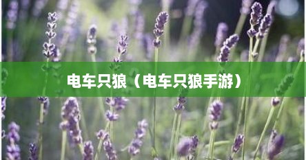 电车只狼（电车只狼手游）