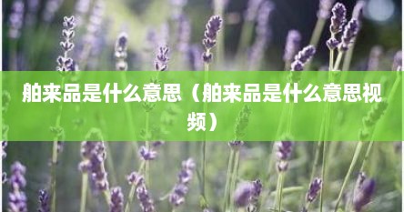 舶来品是什么意思（舶来品是什么意思视频）