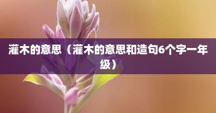 灌木的意思（灌木的意思和造句6个字一年级）