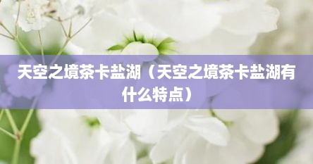 天空之境茶卡盐湖（天空之境茶卡盐湖有什么特点）