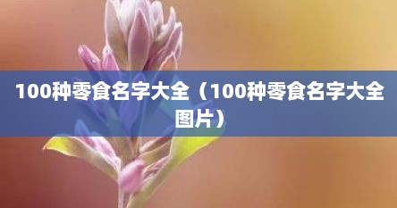 100种零食名字大全（100种零食名字大全图片）