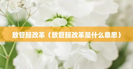 放管服改革（放管服改革是什么意思）